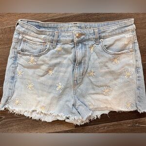 American Eagle Light Blue Jean Shorts with Daisy Embroidery and with Frayed Ends